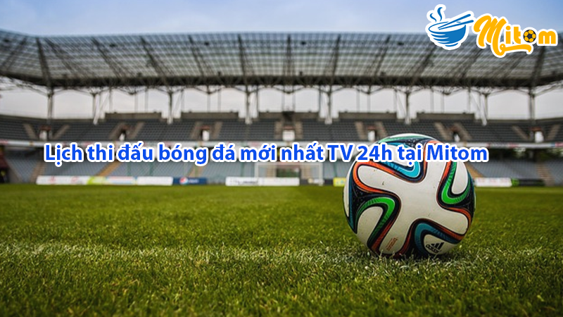 Lịch thi đấu bóng đá tại web Mitom TV
